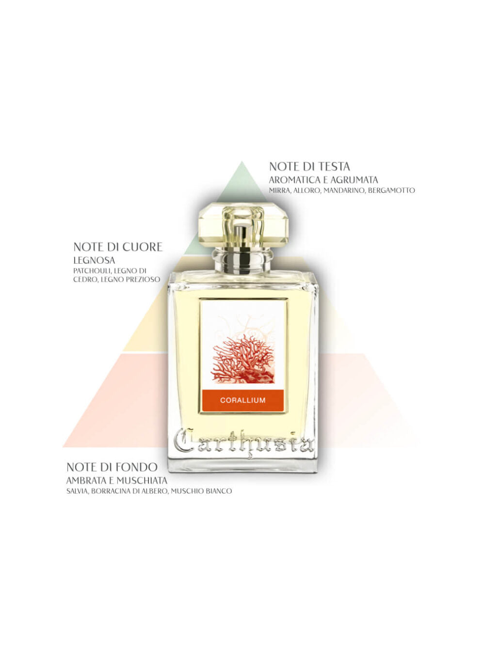 CORALLIUM DIFFUSER