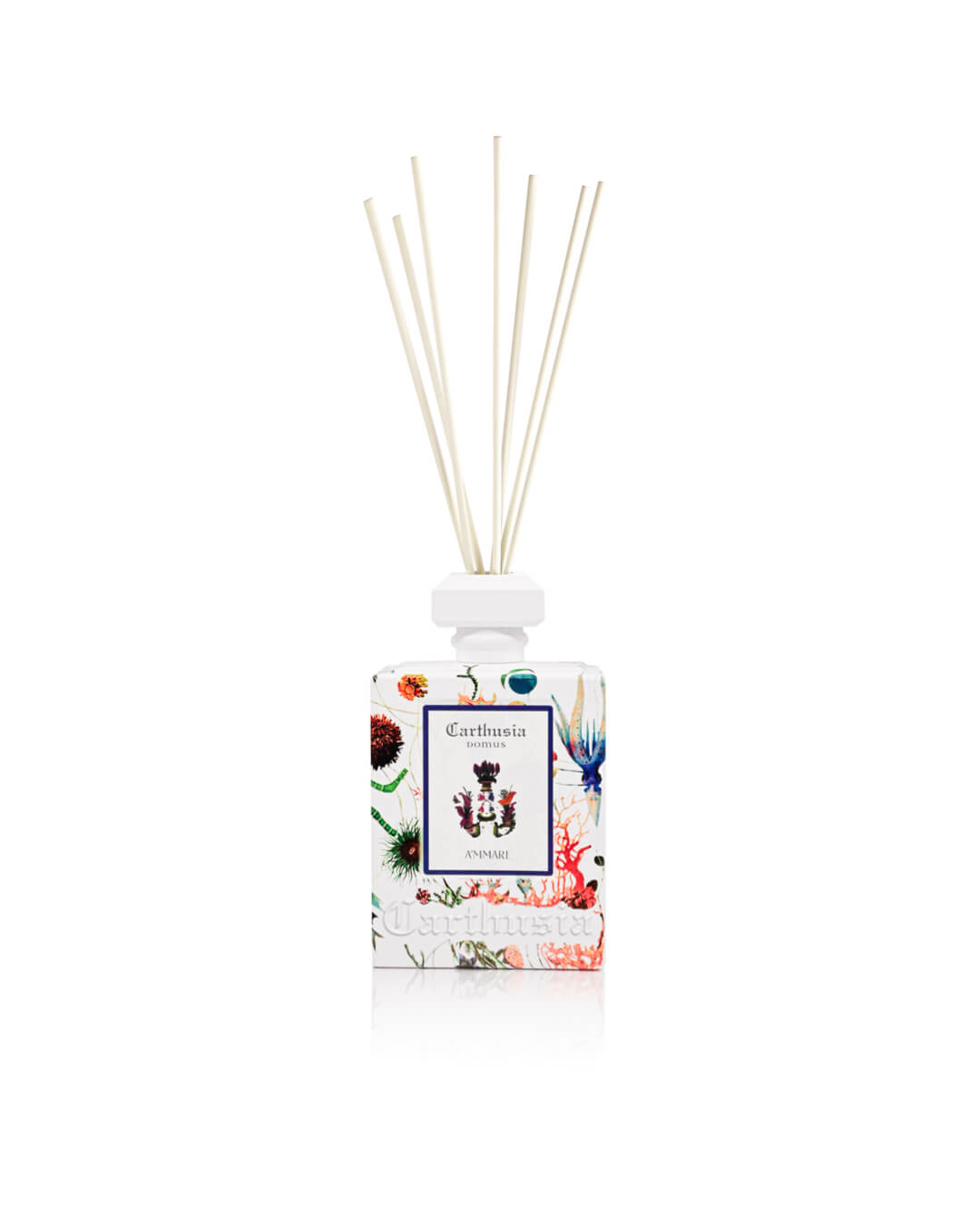 DIFFUSER AMMARE