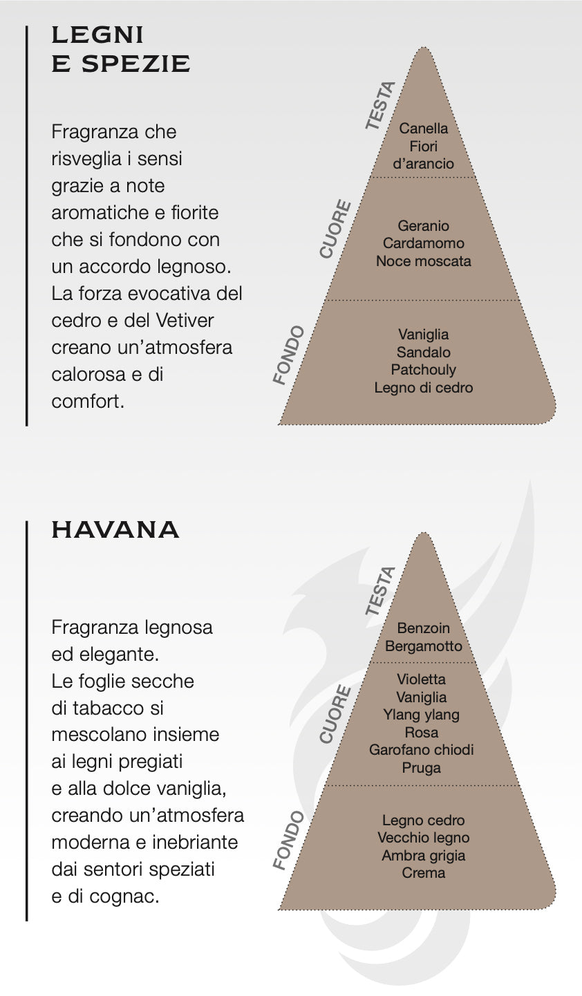 Gift Box Leaf Legni e Spezie